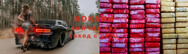 амф Алзамай
